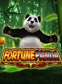 Fortune Panda